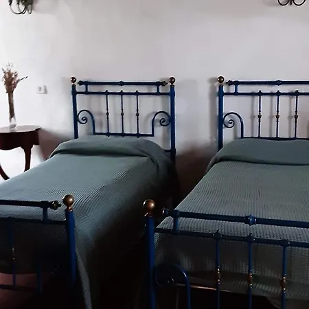 Celle Di Lecchi Vigneto