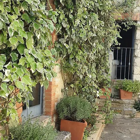 Semesterbostad Celle Di Lecchi Vigneto *