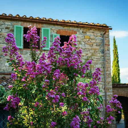 Celle Di Lecchi Vigneto Feriehus San Sano