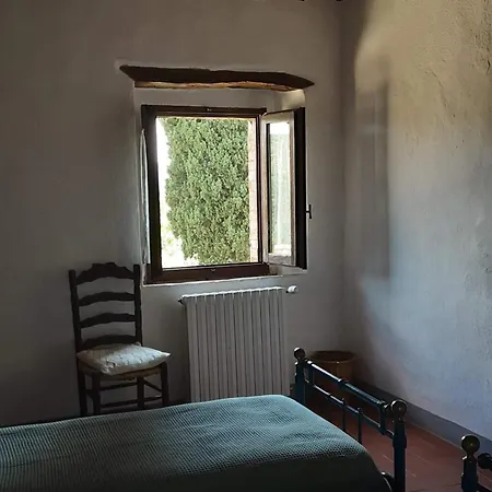 Celle Di Lecchi Vigneto San Sano