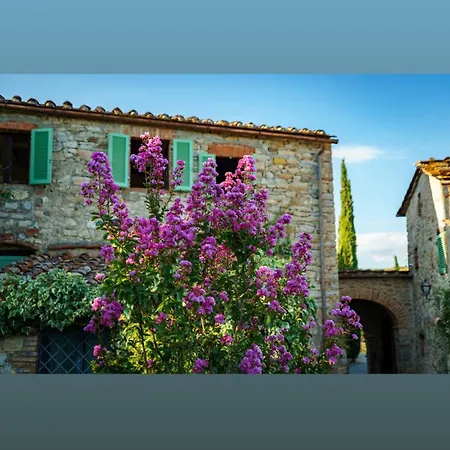 Celle Di Lecchi Vigneto *