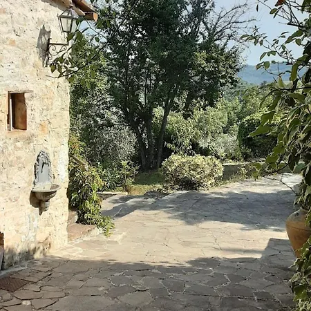 Celle Di Lecchi Vigneto San Sano