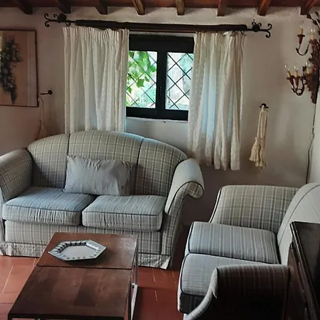 Celle Di Lecchi Vigneto * San Sano