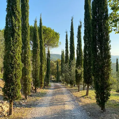 別荘 Celle Di Lecchi Vigneto San Sano