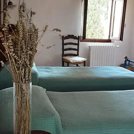 Celle Di Lecchi Vigneto 別荘
