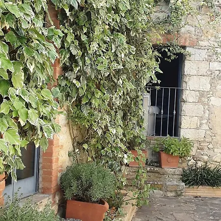 Semesterbostad Celle Di Lecchi Vigneto
