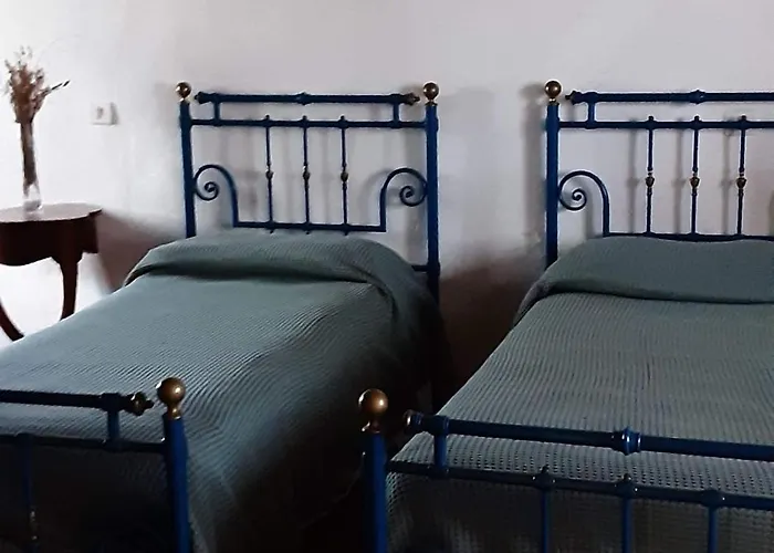 Celle Di Lecchi Vigneto