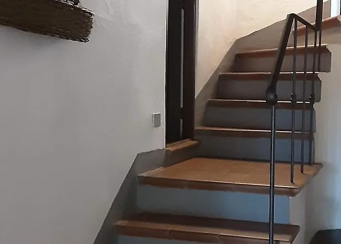 Celle Di Lecchi Vigneto San Sano