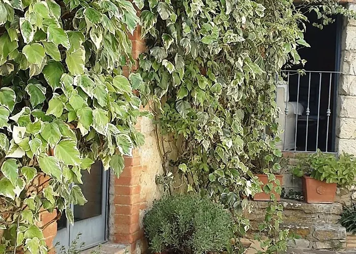 Feriehus Celle Di Lecchi Vigneto *