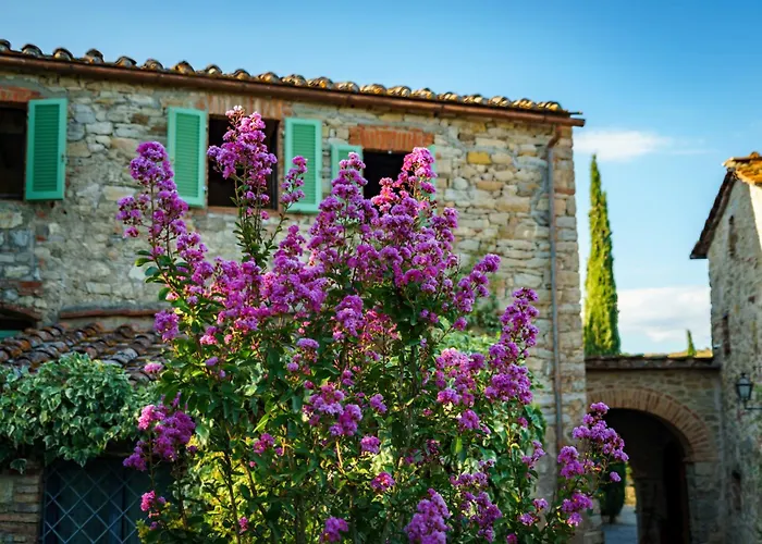 Celle Di Lecchi Vigneto Casa vacanze San Sano