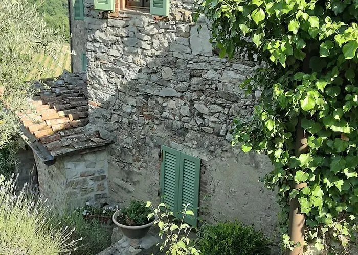 Celle Di Lecchi Vigneto