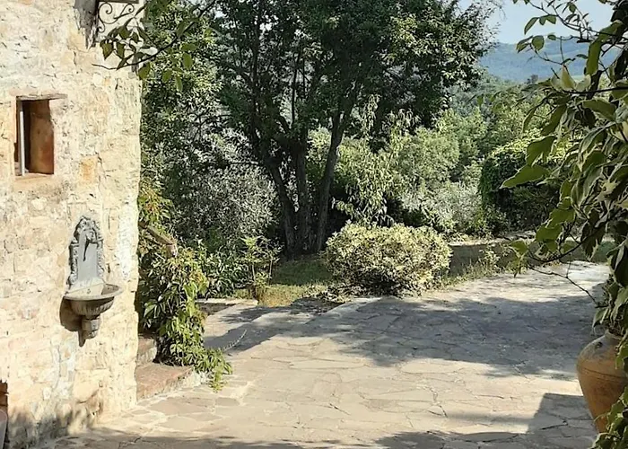 Celle Di Lecchi Vigneto San Sano