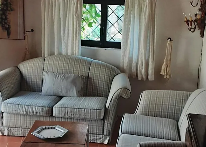 Celle Di Lecchi Vigneto * San Sano