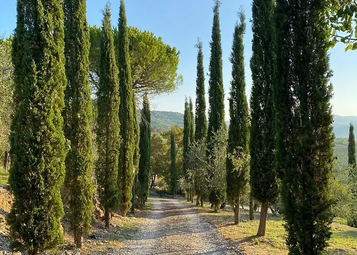 Feriehus Celle Di Lecchi Vigneto San Sano