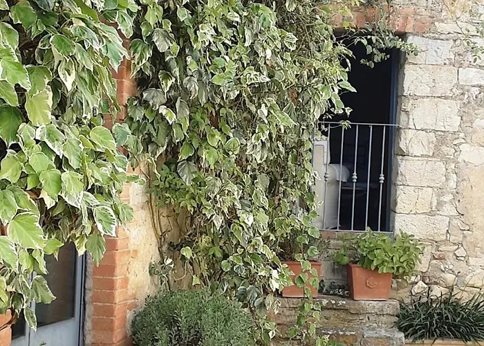 Casa de Férias Celle Di Lecchi Vigneto