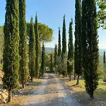 Feriehus Celle Di Lecchi Vigneto San Sano